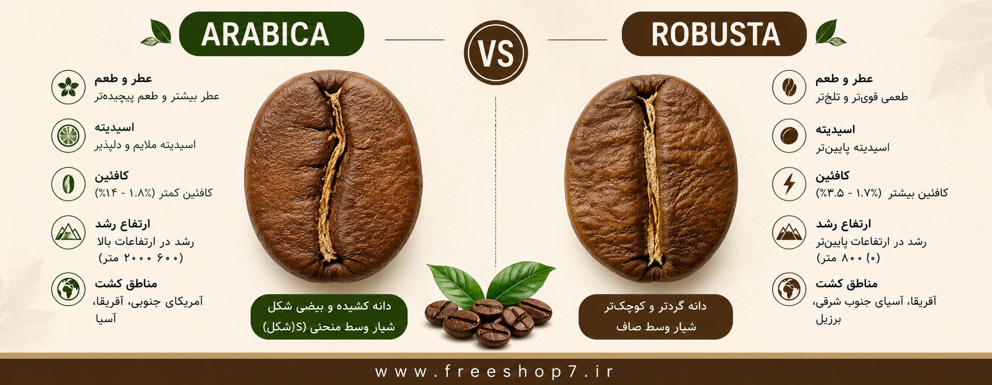مقایسه دانه قهوه عربیکا و روبوستا